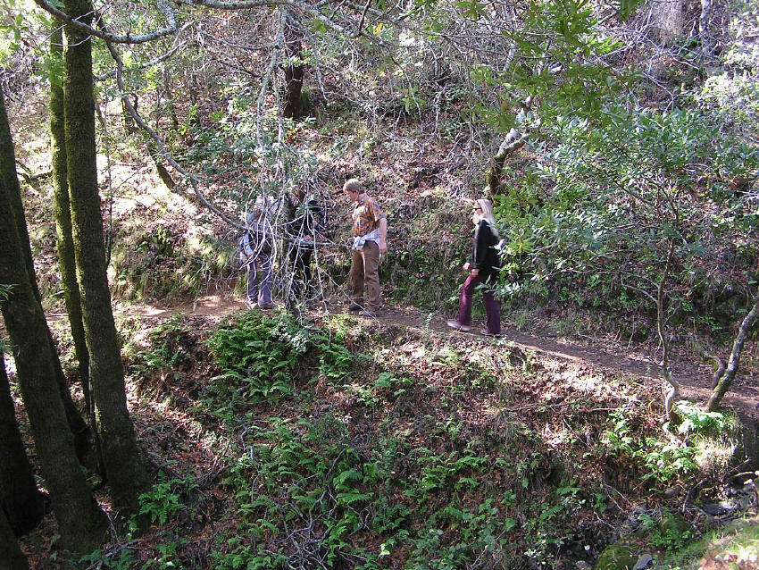 p1010020.jpg