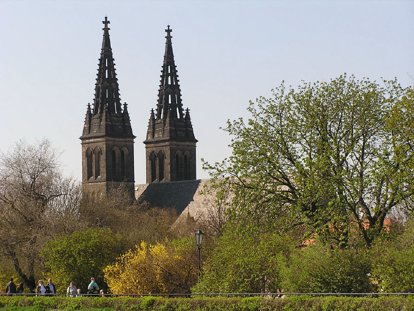p1010146.jpg