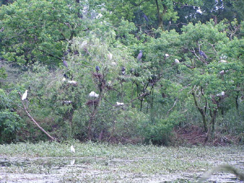 p1010285.jpg