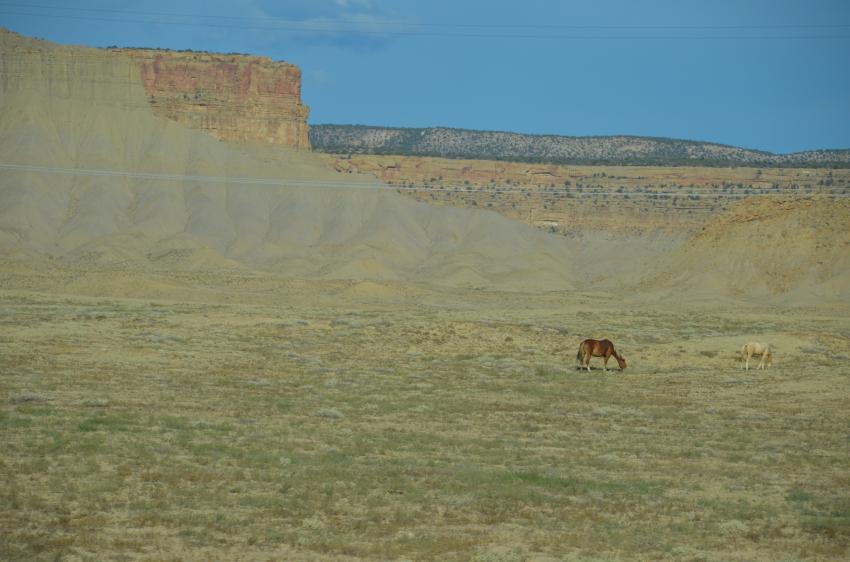 dsc_0239.jpg