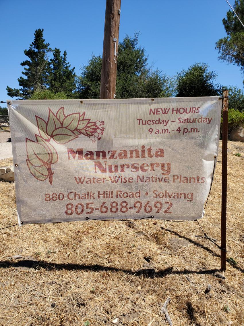 manzanita_nursery_2.jpg