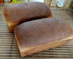 Whole Wheat Sandwich Bread