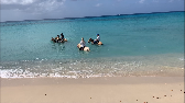 Horseback ride in ocean