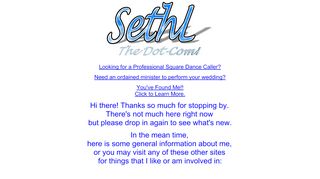 Web site for "Seth Levine"
